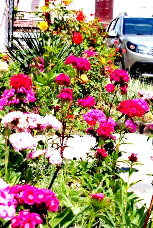 At the seaside Hotel Pitsunda Exterior foto